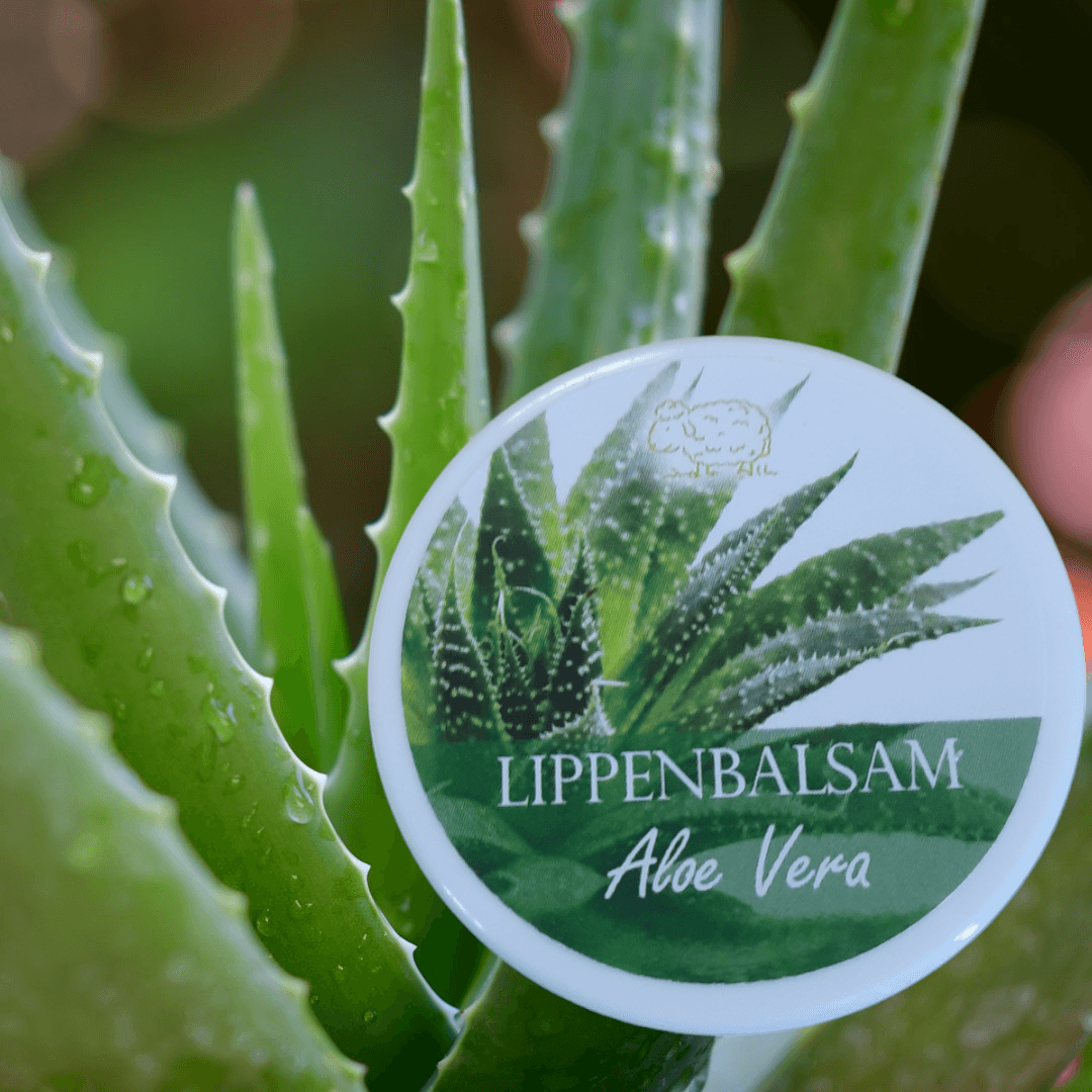 Die wirksame Pflege für deine Lippen mit dem Original Florex® Lippenbalsam Aloe Vera - Seifenwelt.ch