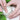 Deocreme Green Tea 100ml - Seifenwelt.ch