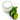 Deocreme Gurke Minze 100 ml - Seifenwelt.ch